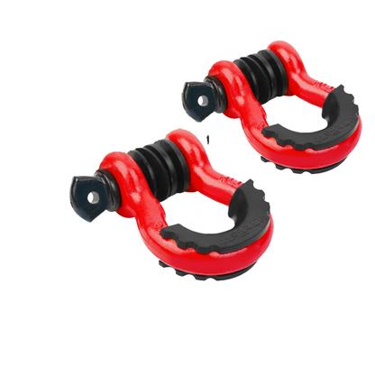 Heavy Duty Stainless Steel D-Shackle
