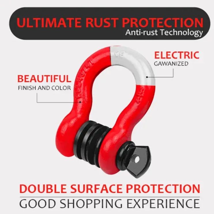 Heavy Duty Stainless Steel D-Shackle